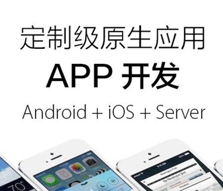 原生(shēng)應用(yòng)APP開(kāi)發